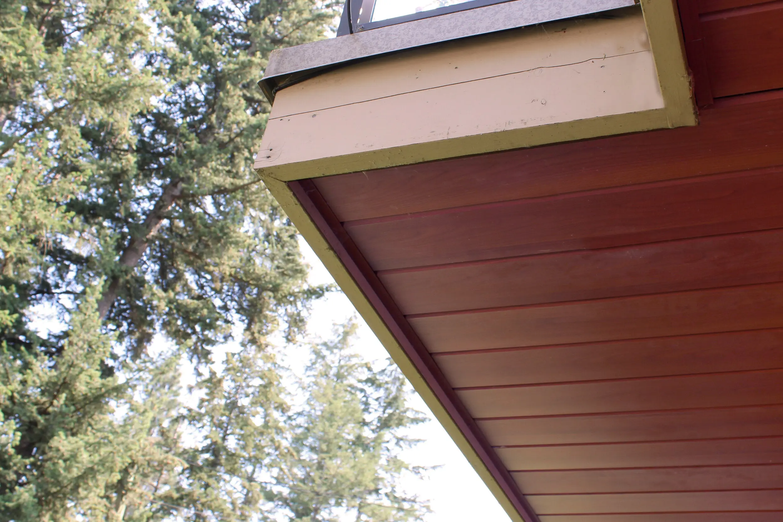 Roof eave with AFX woodgrain aluminum soffit against evergreen trees