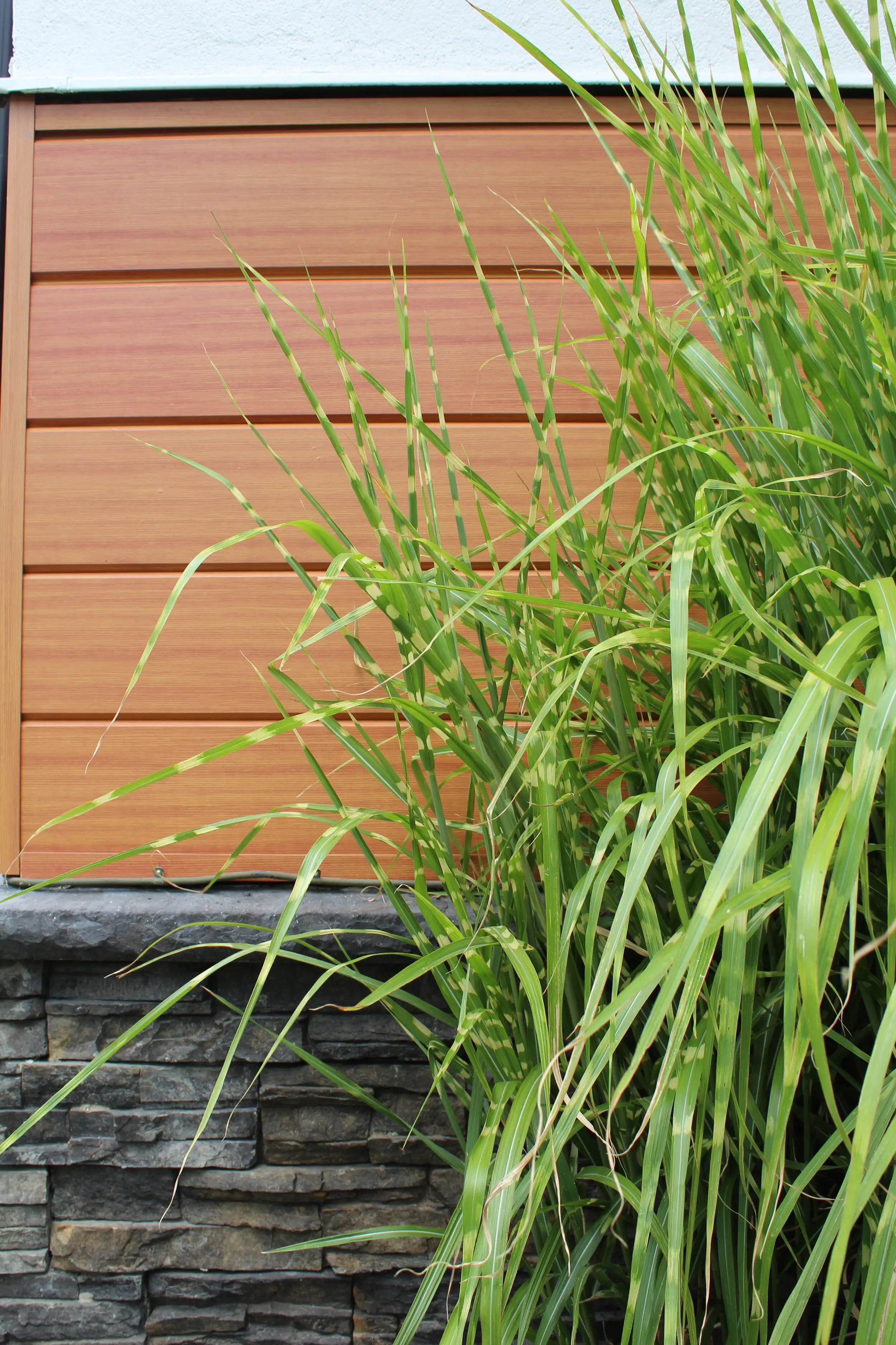 AFX woodgrain aluminum siding above a stone base with ornamental grasses