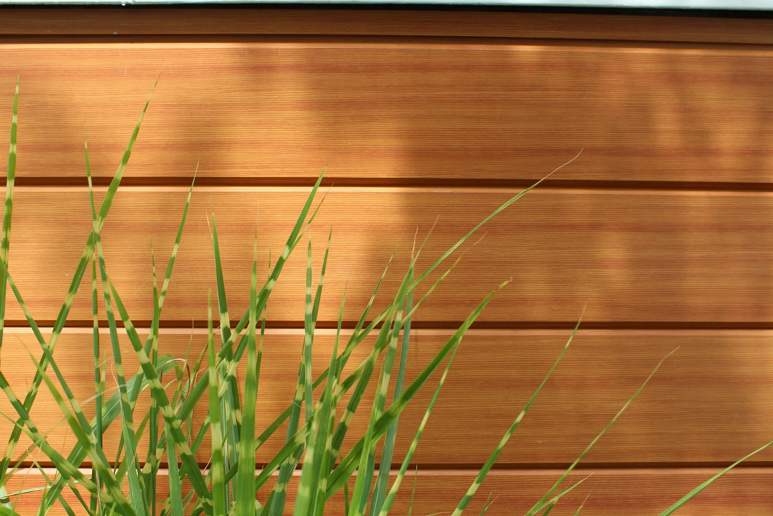 Close-up of AFX woodgrain texture with grasses in the foreground
